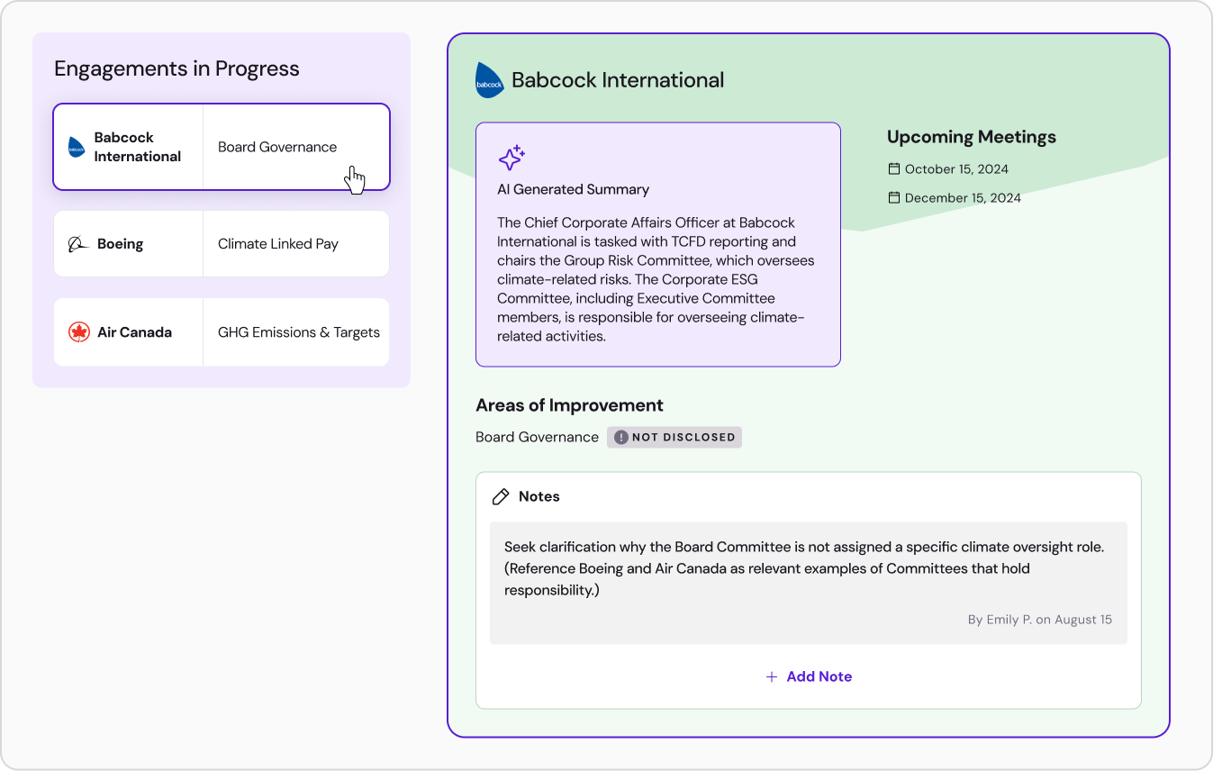 Action Plan Board Governance (2)